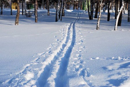 冬季西伯利亚城市公园，奥姆斯克地区