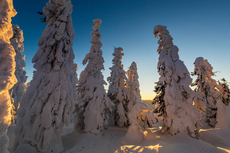 美丽的全景拍摄于波兰山贝斯基迪在途中赖西安卡在雪冬。日落时徒步旅行时的风景。