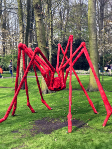 荷兰Keukenhof，2018年4月14日。早春著名公园里一只蜘蛛的明亮的巨大红色雕塑。有趣的装饰。