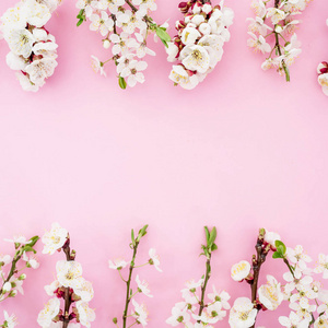 花架与春花在粉彩背景上。平躺，俯视。春天的背景。