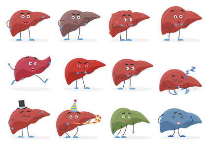 可爱的肝脏正面和消极情感器官设置向量例证