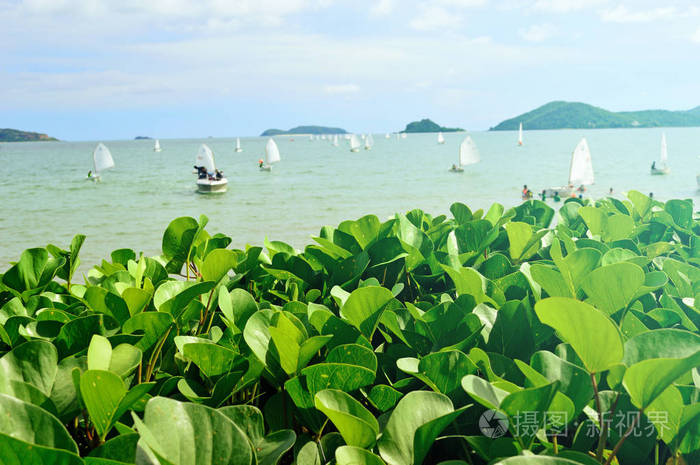 在自然海湾航行的假期