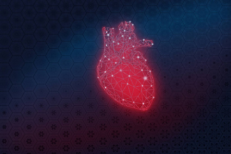 人体心脏插图低聚在一个美丽的背景。