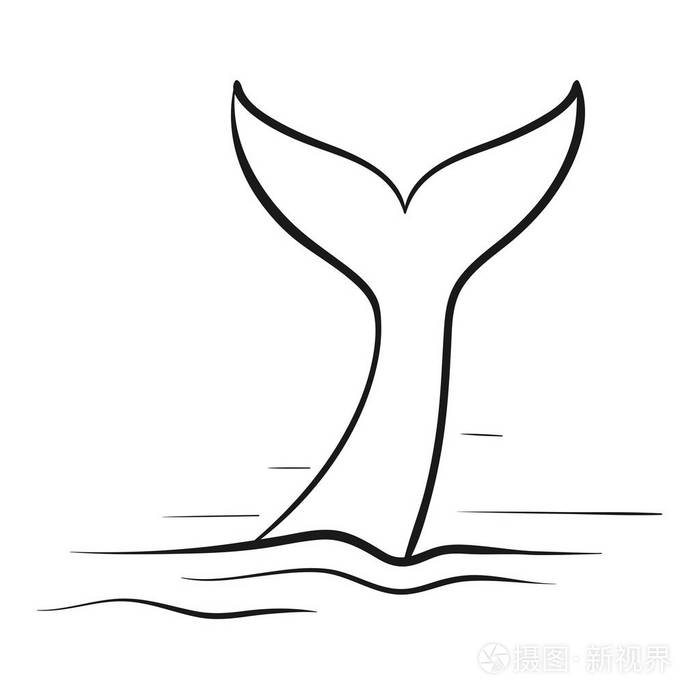 鲸鱼尾巴. 矢量图