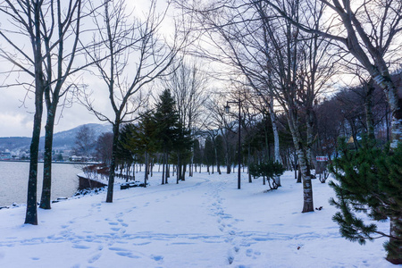 日本北海道道路上积雪的美丽冬季景观