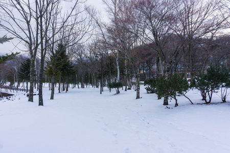 日本北海道道路上积雪的美丽冬季景观