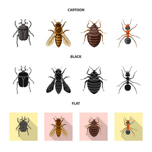 昆虫和苍蝇的孤立对象图标。网络昆虫和元素股票符号的采集