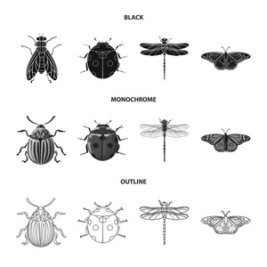 昆虫和飞行符号的向量例证。网络昆虫和元素股票符号集