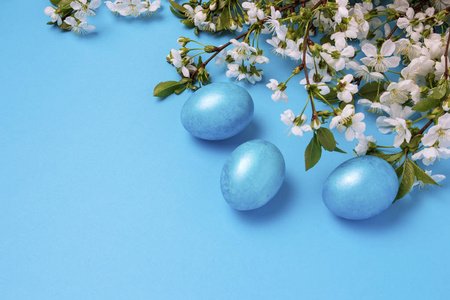 蓝色背景上的樱花和复活节蓝蛋