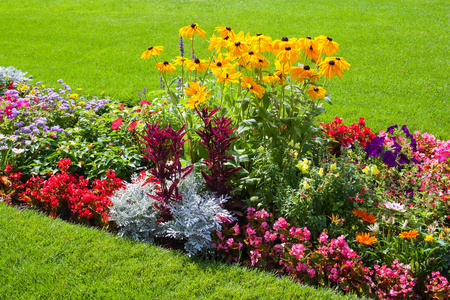 美丽的花园,草坪上有五颜六色的花坛照片