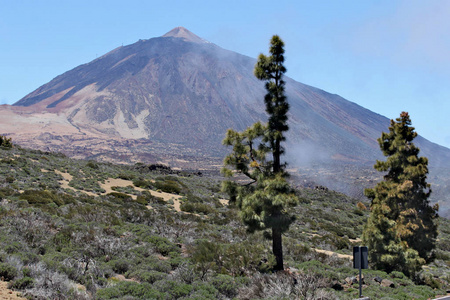 蒂德山是加那利群岛特内里夫的一座火山。 它的3718米峰顶是西班牙的最高点，也是大西洋群岛海拔最高的点。 与蒂德国家公园一起被命