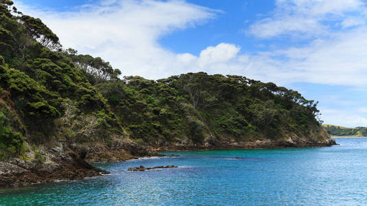 新西兰群岛美丽海湾的海岸线。原始森林直到岩石海岸。