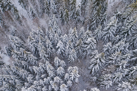 西里西亚贝斯基兹山脉的冬季风景。山顶鸟瞰雪山景观与树木。