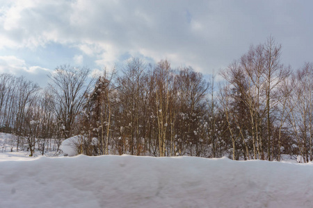 日本北海道道路上积雪的美丽冬季景观