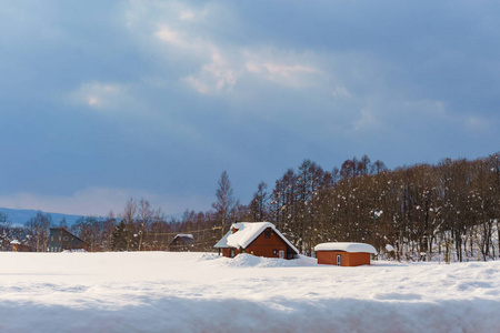 日本北海道道路上积雪的美丽冬季景观