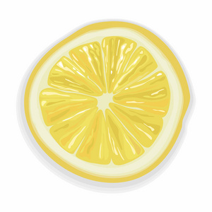 多汁柠檬片逼真矢量图像。