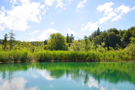 美丽的景观在普利特维尔斯湖国家公园克罗地亚。
