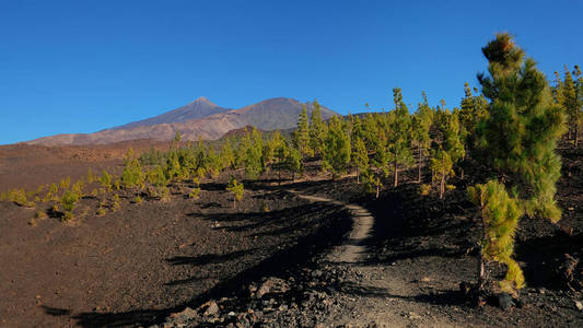 穿过蒙大拿萨马拉火山景观的道路，靠近蒂德国家公园的开放松林或日冕森林，有足够的视野，可以看到皮奥德尔蒂德和皮奥维乔特内利夫西班