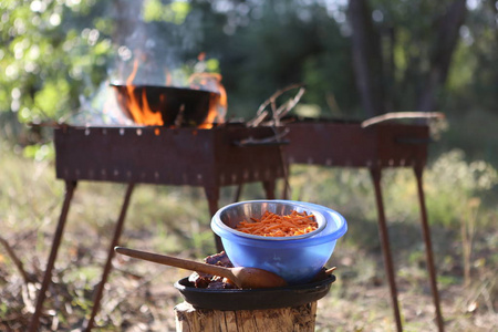 在夏天的野餐中，在高温下用大锅烧烤，在他们面前放一碗肉和切碎的蔬菜