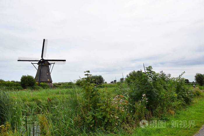 荷兰教科文组织世界遗产的荷兰风车