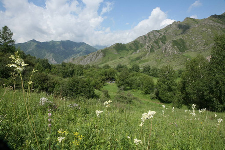 阿尔泰地区俄罗斯山区景观