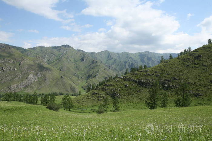 阿尔泰地区俄罗斯山区景观