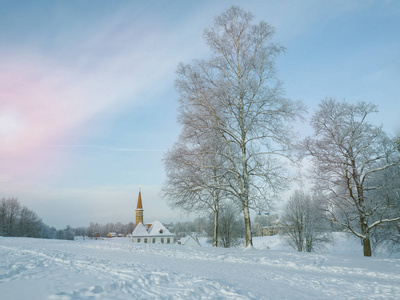 冬季景观与城堡在一个寒冷的天
