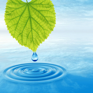 概念或概念清洁泉水或露水从绿色的新鲜叶子上落下，在三维插图蓝色的清水中波浪