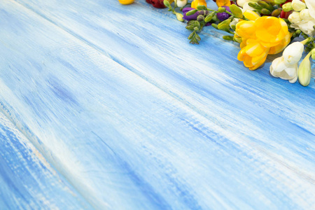 春天的背景。 美丽的春天自由的花在蓝色的木制背景上。 文本的位置关闭。