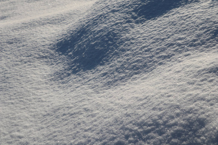 阳光明媚的一天，花园里覆盖着新鲜的雪。 自然冬季背景。