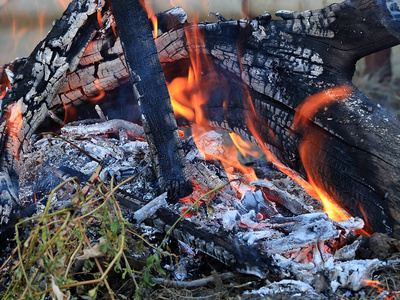 木炭和森林大火的火焰