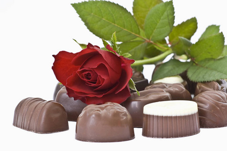 白色背景的巧克力和玫瑰