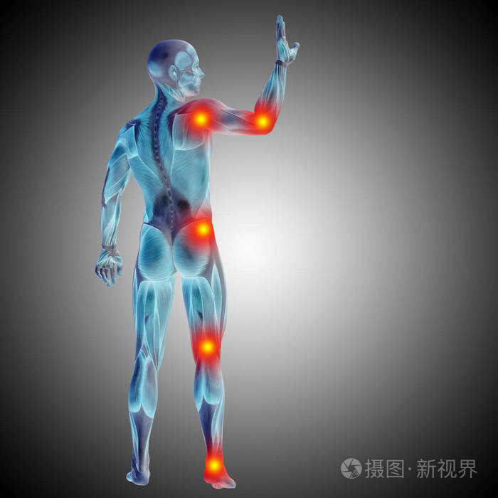 人体解剖体疼痛和炎症的概念三维插图灰色梯度背景
