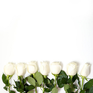 白玫瑰。 白色背景上的一束精致的玫瑰。 文本的地方。 春天假期的浪漫背景。