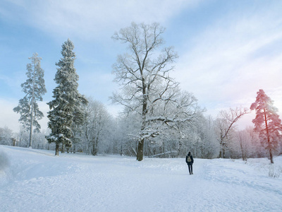 在公园里散步的人。冬天风景与人