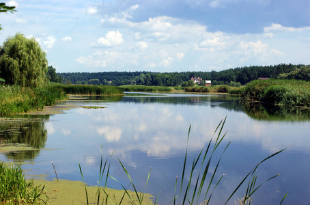 乌克兰博胡斯拉夫市附近罗斯河上风景如画的夏季河流景观。