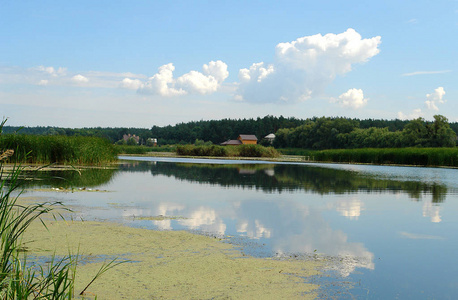 乌克兰博胡斯拉夫市附近罗斯河上风景如画的夏季河流景观。