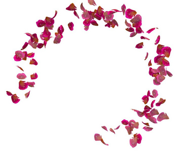 红色玫瑰花瓣围成一个圆圈。 你的照片或文字的中心免费空间。 孤立的白色背景