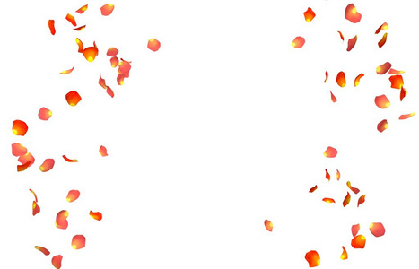 橙色玫瑰花瓣在一个圆圈里飞舞。 你的照片或文字的中心免费空间。 孤立的白色背景