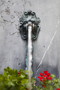 在瑞士伯尔尼的喷泉中，近距离观看单色头部喷水