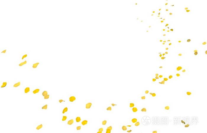 黄色玫瑰花瓣飞入远方.孤立的白色背景