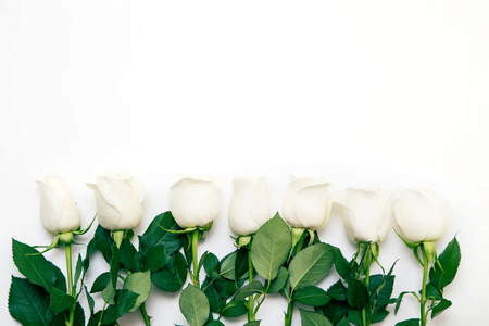 白色背景上的一束精致的玫瑰. 文本的地方. 春天假期的浪漫背景.照片