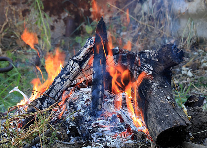 木炭和森林大火的火焰