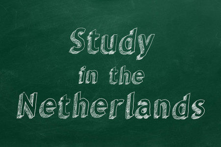 Study in the Netherlands34