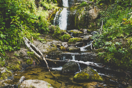 夏天森林里的山瀑布。 河岸上有石头和植物的河流。