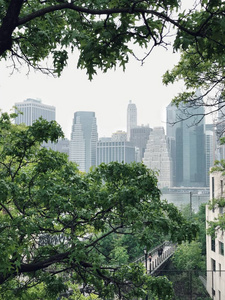 布鲁克林大桥曼哈顿夏季景观