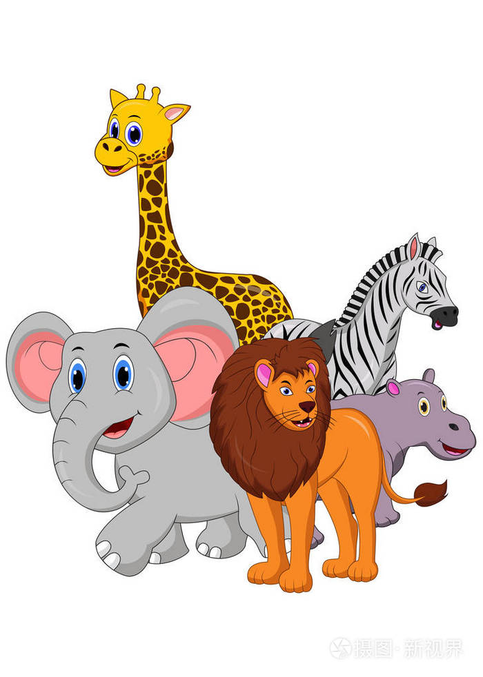 白色背景的野生动物卡通