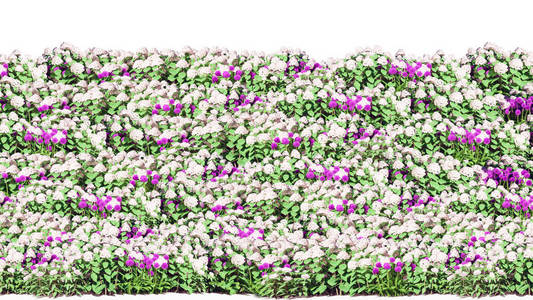 3D渲染隔离在白色背景上的一排花，供建筑使用，可以很容易地切割