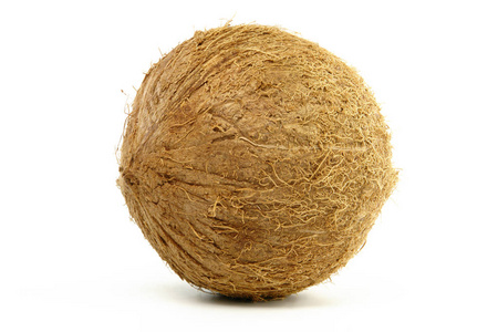 白色背景上分离的单一椰子