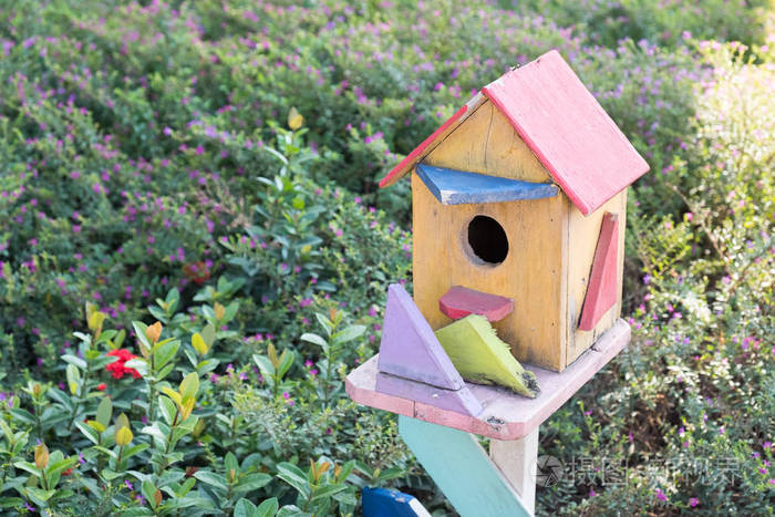 公园里鸟类的鸟屋特写房子.